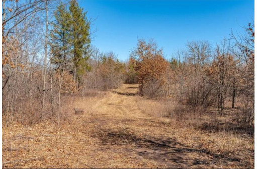 XXX 20 Acres Tranus Lake Road, Springbrook, WI 54875