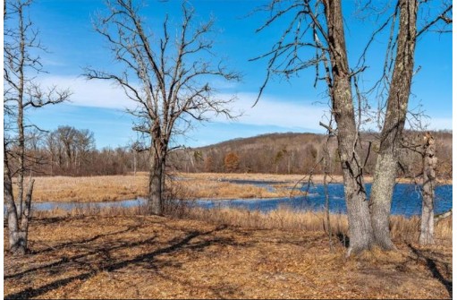 XXX 20 Acres Tranus Lake Road, Springbrook, WI 54875