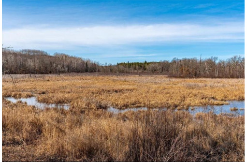 XXX 20 Acres Tranus Lake Road, Springbrook, WI 54875