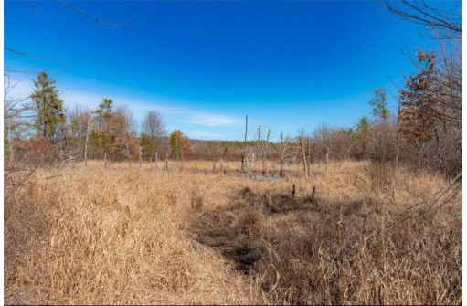 XXX 20 Acres Tranus Lake Road, Springbrook, WI 54875