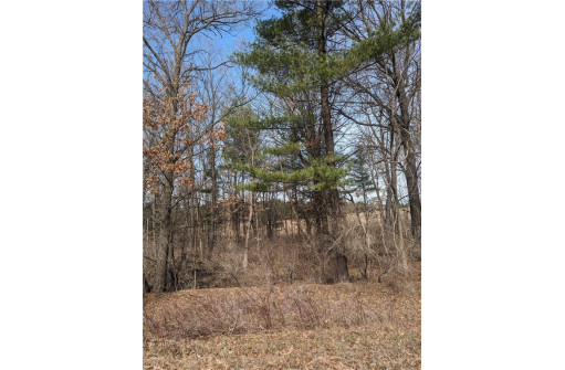 LOT 20 47th Avenue, Eau Galle, WI 54736