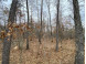 LOT 3 Steinhilpert Drive Solon Springs, WI 54873