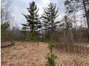 LOT 4 Steinhilpert Drive, Solon Springs, WI 54873