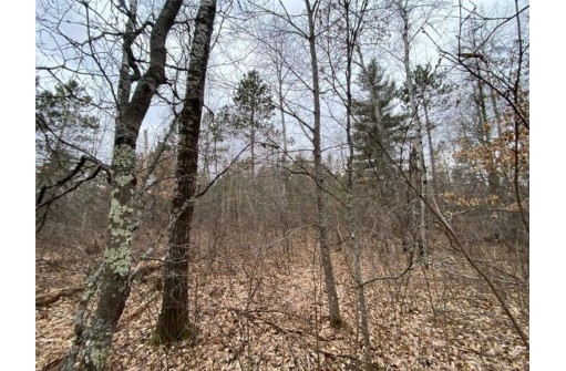 LOT 4 Steinhilpert Drive, Solon Springs, WI 54873