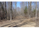 6  ACRES ON Snafu Road, Conrath, WI 54731