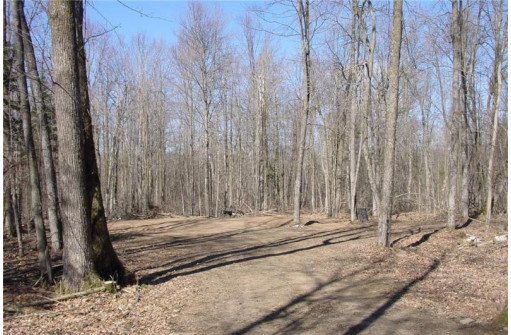 6  ACRES ON Snafu Road, Conrath, WI 54731