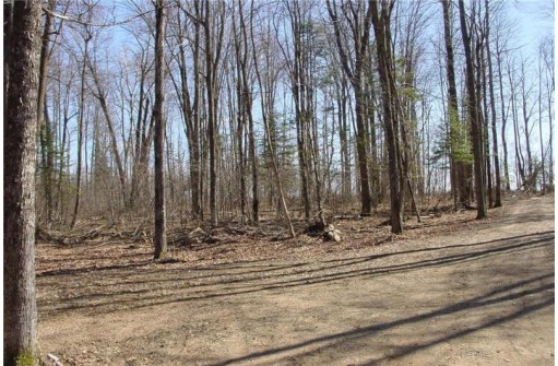 6  ACRES ON Snafu Road, Conrath, WI 54731