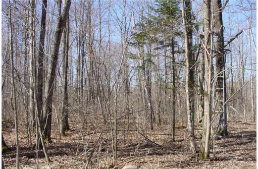 6  ACRES ON Snafu Road, Conrath, WI 54731