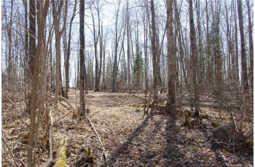 6  ACRES ON Snafu Road, Conrath, WI 54731