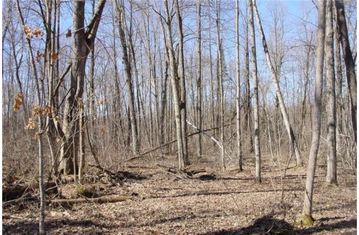 6  ACRES ON Snafu Road, Conrath, WI 54731