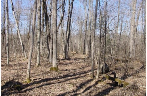 6  ACRES ON Snafu Road, Conrath, WI 54731