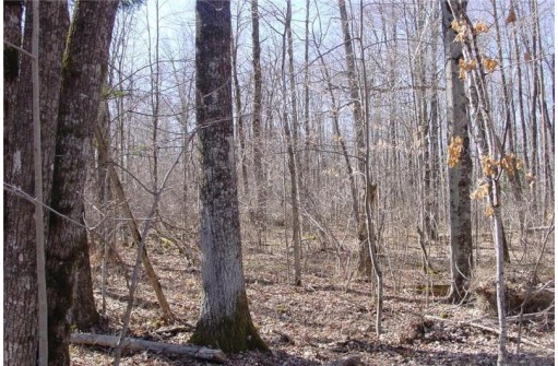 6  ACRES ON Snafu Road, Conrath, WI 54731