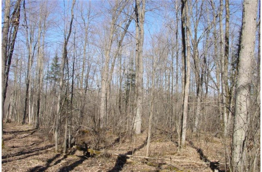 6  ACRES ON Snafu Road, Conrath, WI 54731