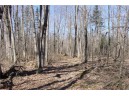 6  ACRES ON Snafu Road, Conrath, WI 54731