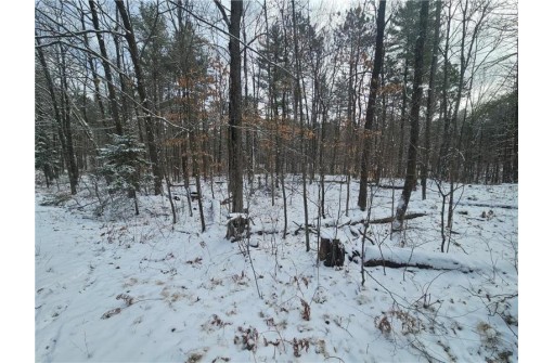 LOT 0 County Hwy E, Springbrook, WI 54875