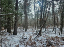 LOT 0 County Hwy E, Springbrook, WI 54875