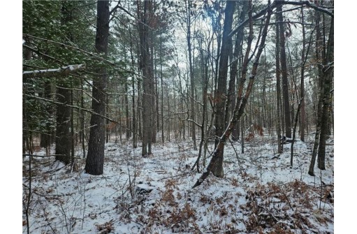 LOT 0 County Hwy E, Springbrook, WI 54875