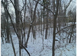 LOT 6 County Hwy B Hayward, WI 54843