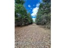 20 ACRES(WEST 20) Todd Road, Granton, WI 54436