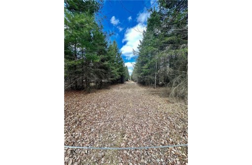 20 ACRES(WEST 20) Todd Road, Granton, WI 54436