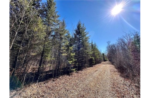 20 ACRES(WEST 20) Todd Road, Granton, WI 54436