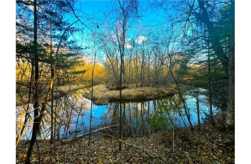 37.5 Acres On Thornapple Road, Ladysmith, WI 54848