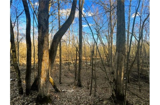 37.5 Acres On Thornapple Road, Ladysmith, WI 54848