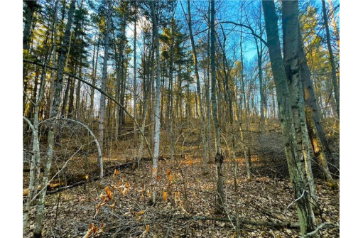 37.5 Acres On Thornapple Road, Ladysmith, WI 54848