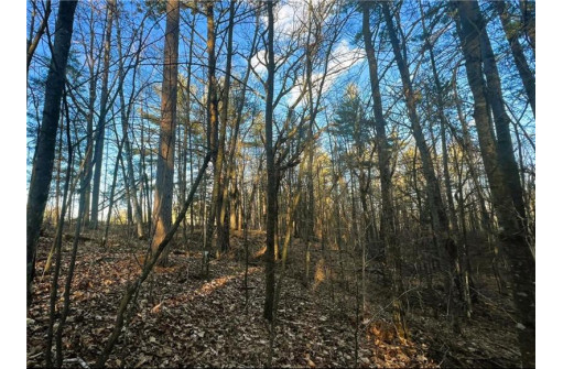 37.5 Acres On Thornapple Road, Ladysmith, WI 54848