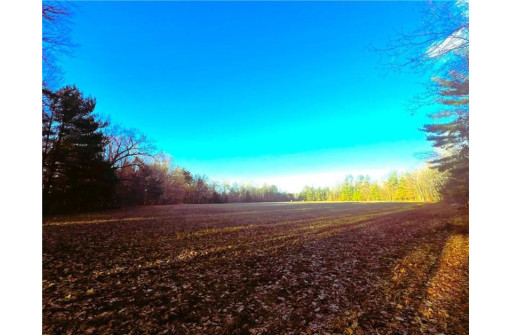 37.5 Acres On Thornapple Road, Ladysmith, WI 54848