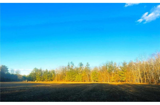 37.5 Acres On Thornapple Road, Ladysmith, WI 54848