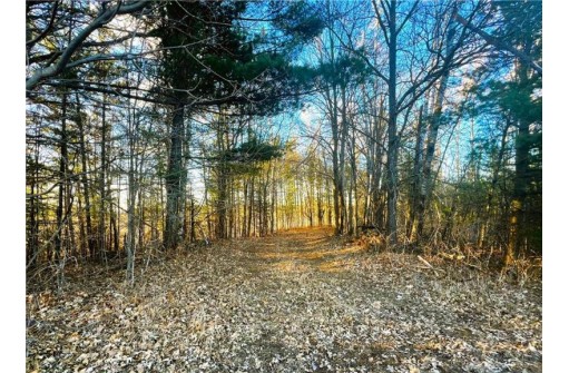 37.5 Acres On Thornapple Road, Ladysmith, WI 54848