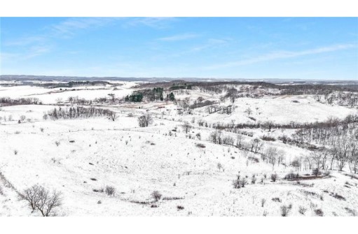 79.3 ACRES Tollefson Road, Eleva, WI 54738