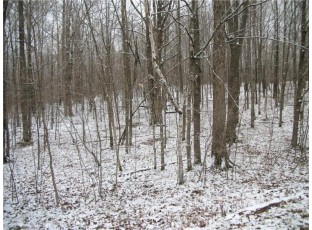 LOT #96 Woods Avenue Birchwood, WI 54817