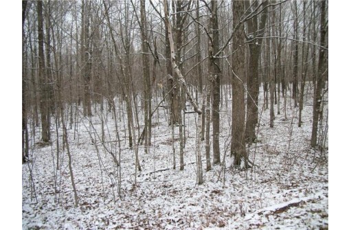 LOT #96 Woods Avenue, Birchwood, WI 54817