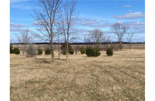 LOT 1 AND 2 934th Street, Mondovi, WI 54755