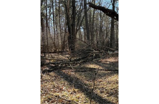 LOT 36 549th Street, Menomonie, WI 54751