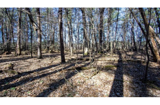 LOT 36 549th Street, Menomonie, WI 54751