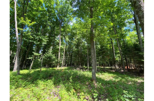 LOT 12 Crane Lane, Hayward, WI 54843