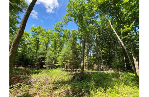 LOT 12 Crane Lane, Hayward, WI 54843