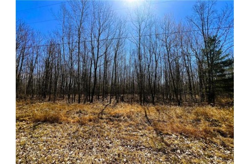 5 ACRES ON Broken Arrow Road, Conrath, WI 54731