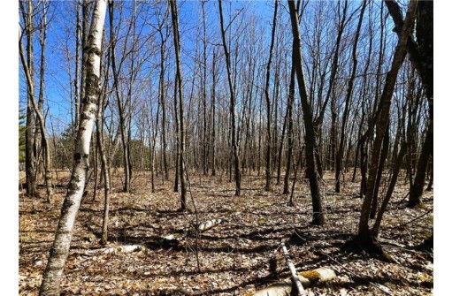 5 ACRES ON Broken Arrow Road, Conrath, WI 54731