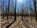 5 ACRES ON Broken Arrow Road, Conrath, WI 54731