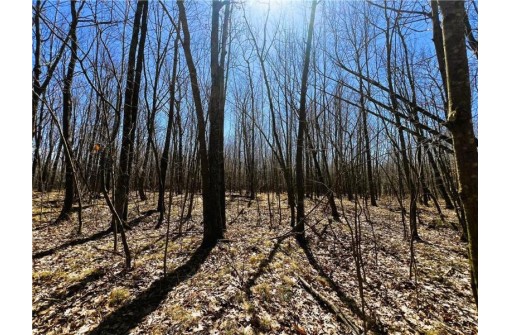 5 ACRES ON Broken Arrow Road, Conrath, WI 54731