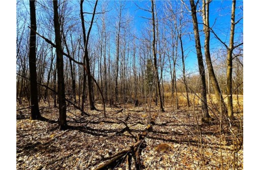 5 ACRES ON Broken Arrow Road, Conrath, WI 54731