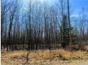 5 ACRES ON Broken Arrow Road, Conrath, WI 54731