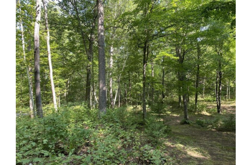 LOT 1 West Shore Lane, Hayward, WI 54843