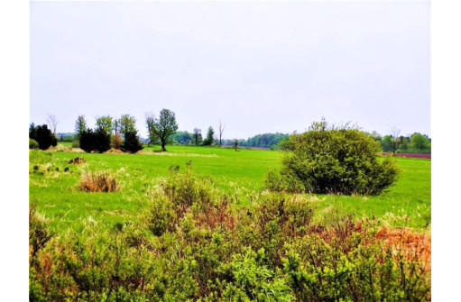 25 ACRES ON Progressive Road, Tony, WI 54563