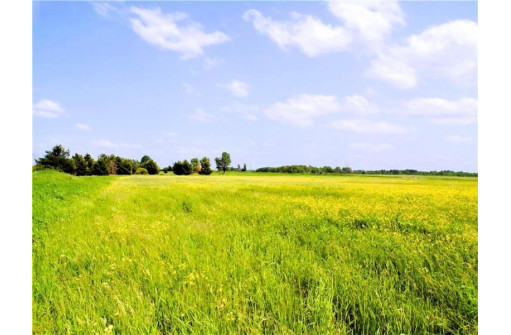 25 ACRES ON Progressive Road, Tony, WI 54563