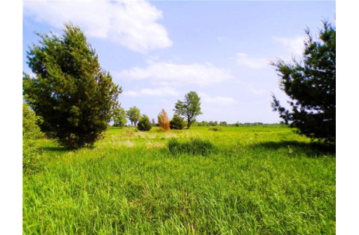 25 ACRES ON Progressive Road, Tony, WI 54563